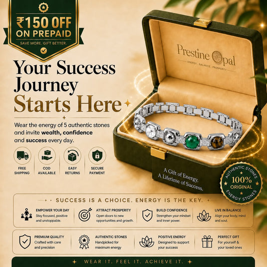 Rinmukteshwar Siddh Metal Dhan Yog™ Bracelet – Silver Plated